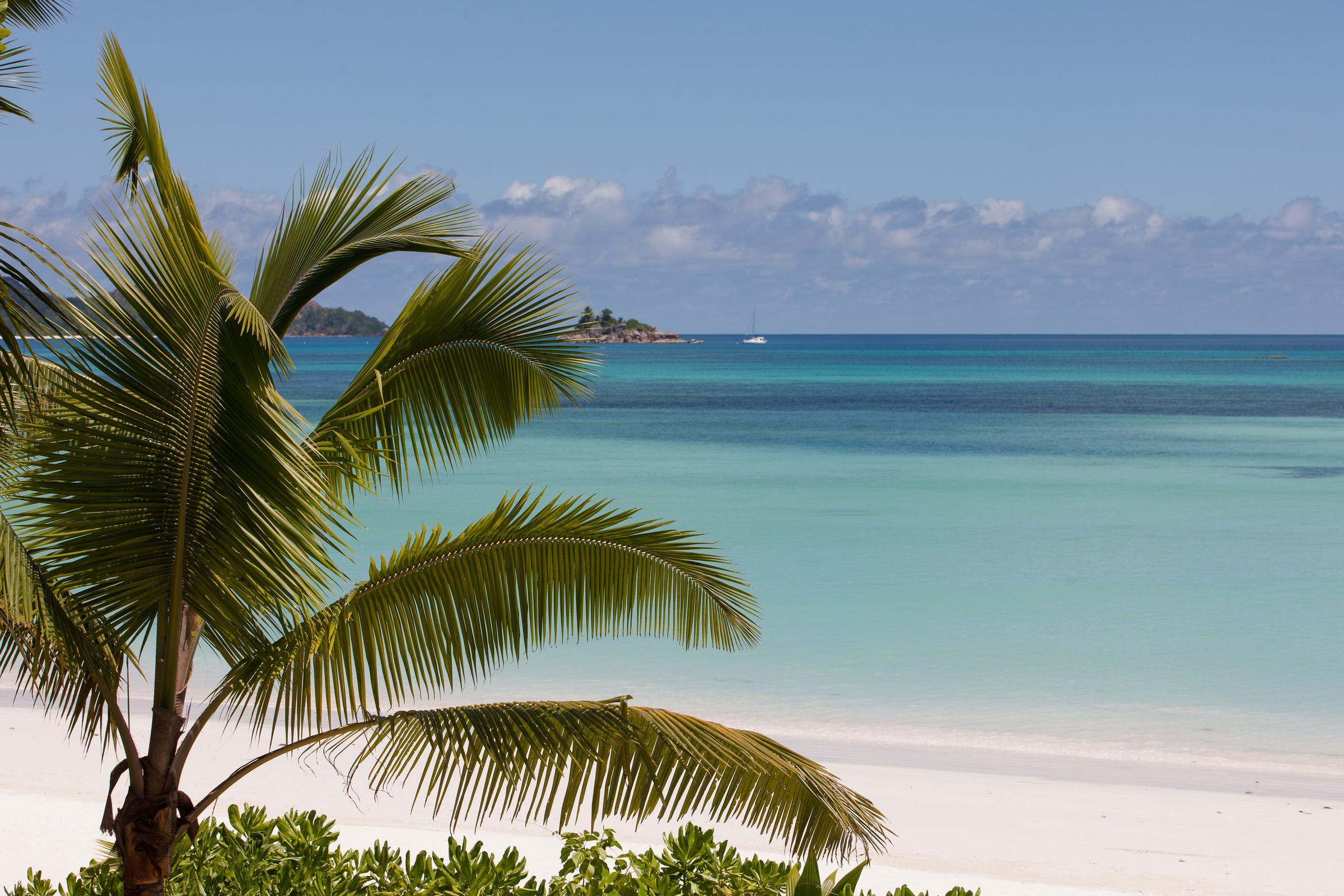 Resort Acajou Anse Volbert Village